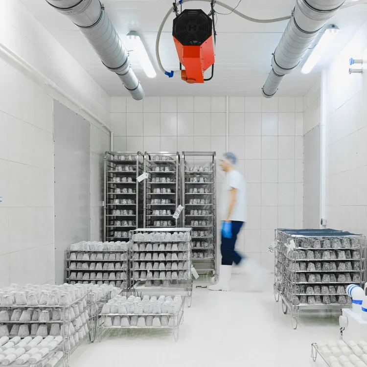 Câmara fria com prateleiras de produtos refrigerados
